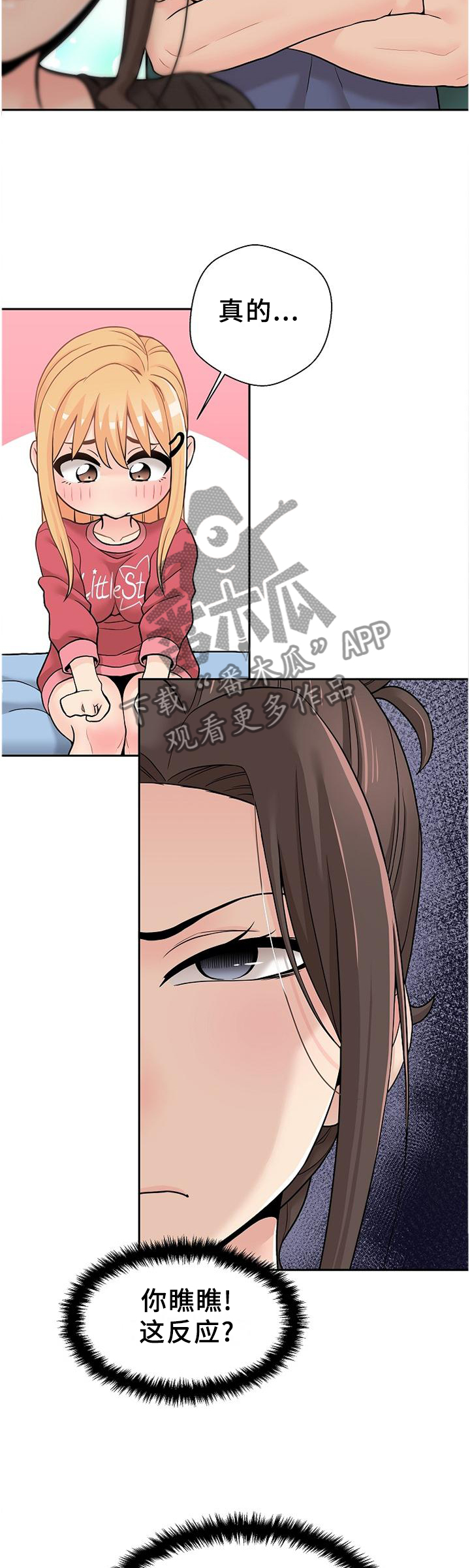 15.jpg