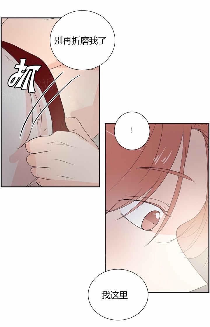 /template/pc/baozi/image/load.gif