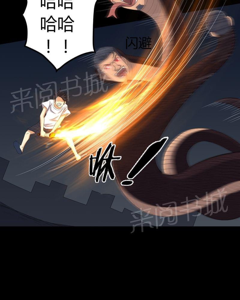 29.jpg