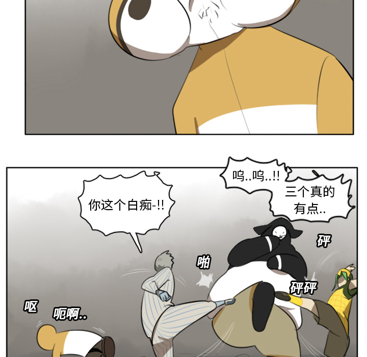 41