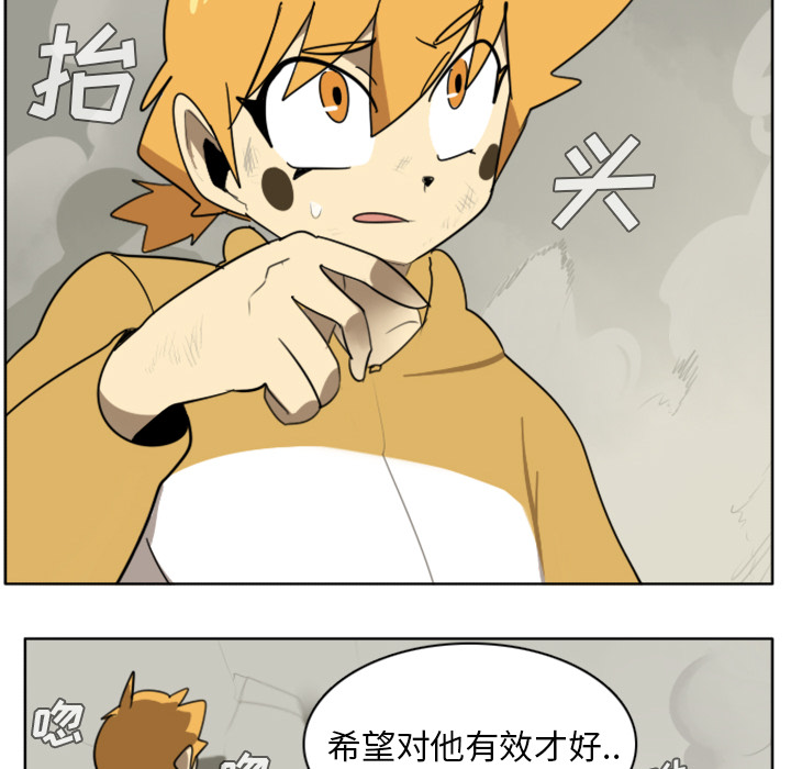 43