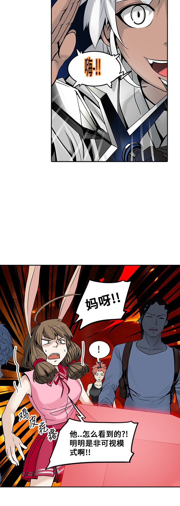 41.jpg