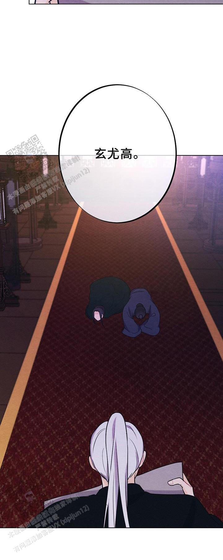 29.jpg