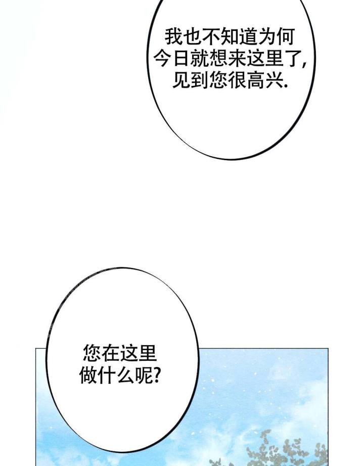78.jpg