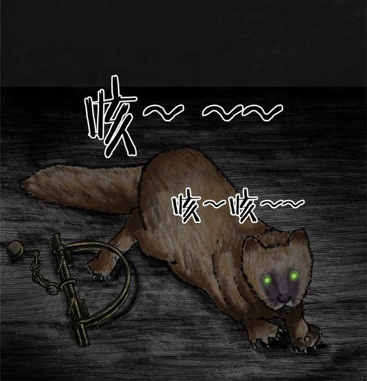 64