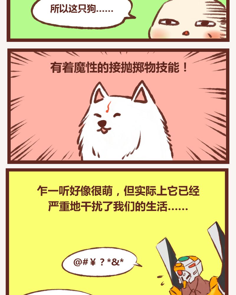 27.jpg