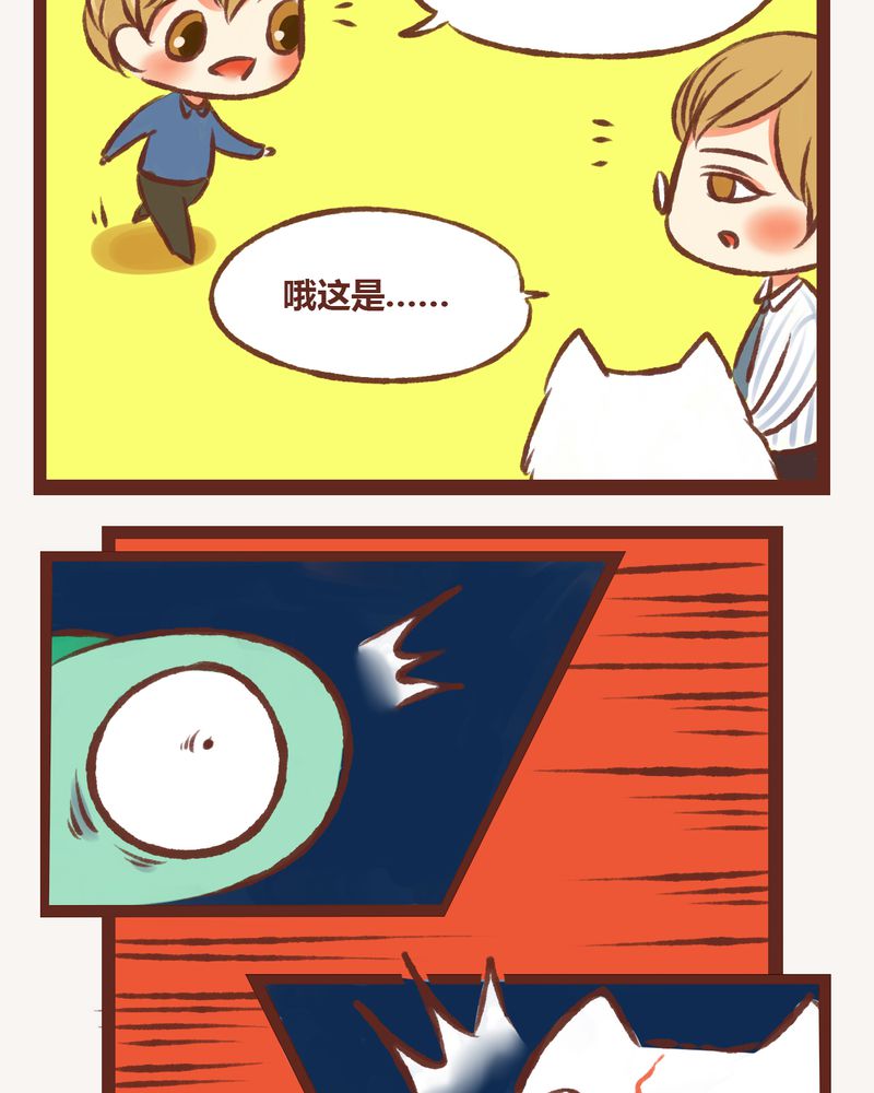 22.jpg