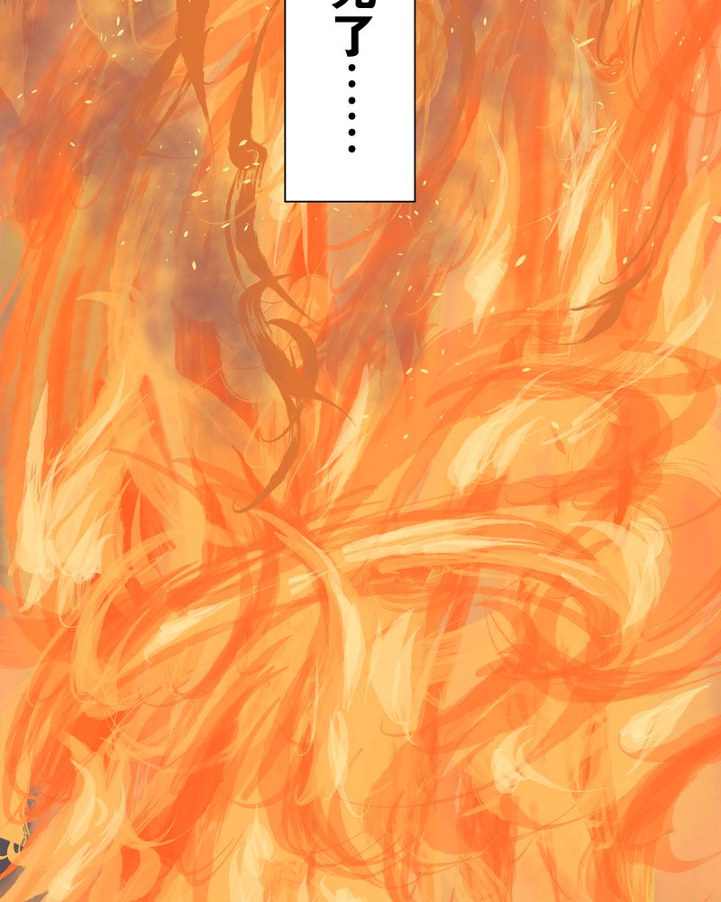 81