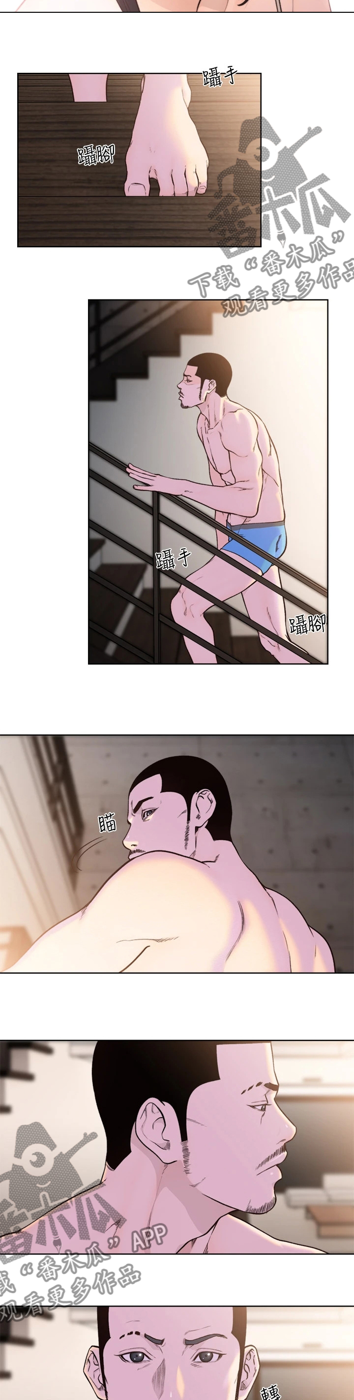 5.jpg