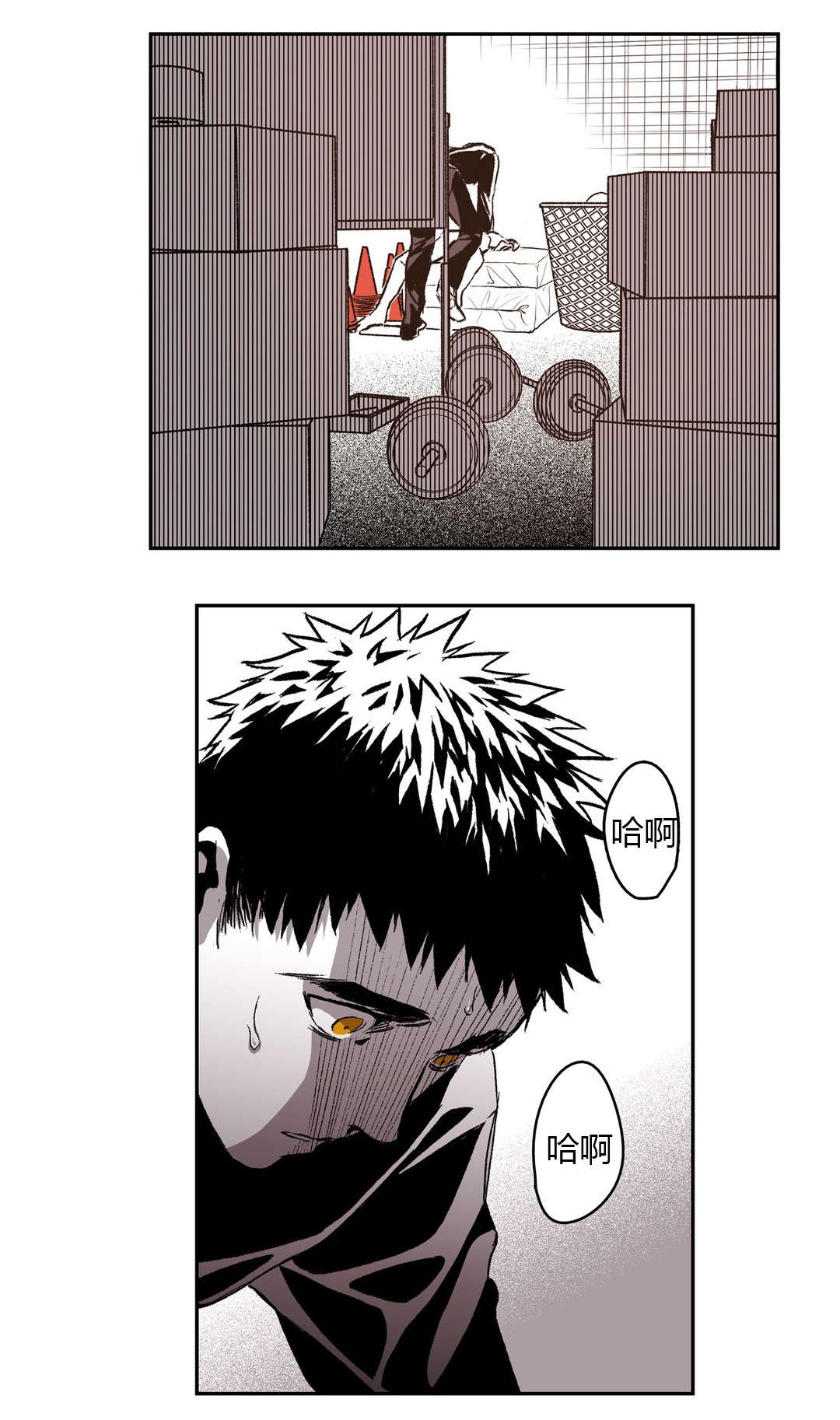 9.jpg