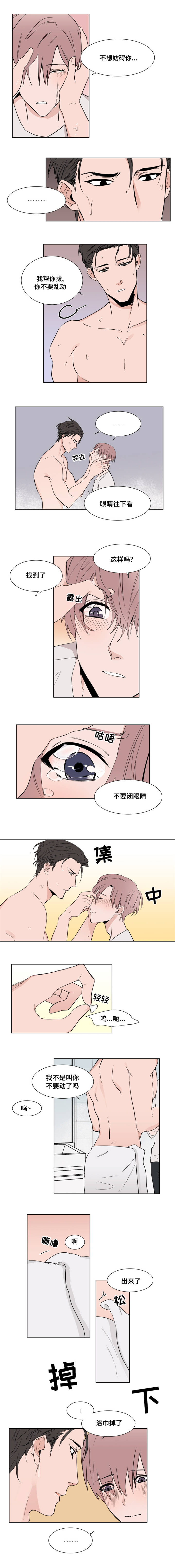 2.jpg