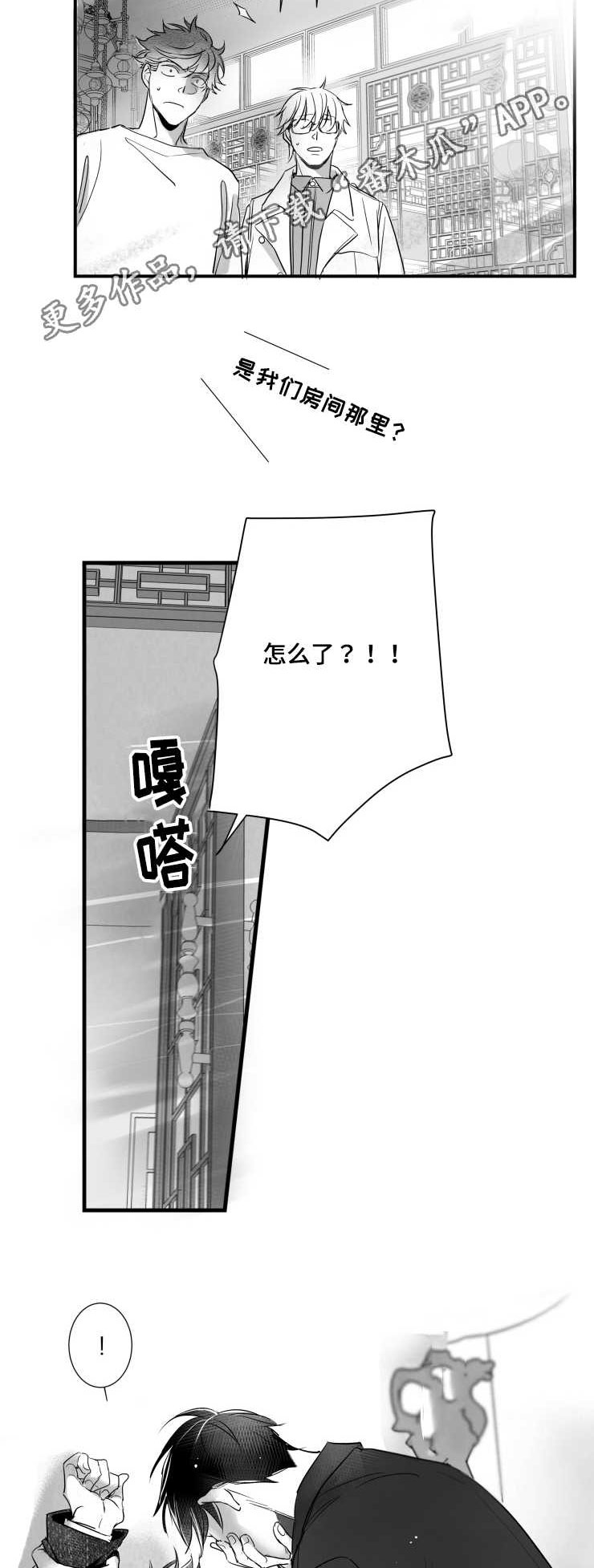 17.jpg