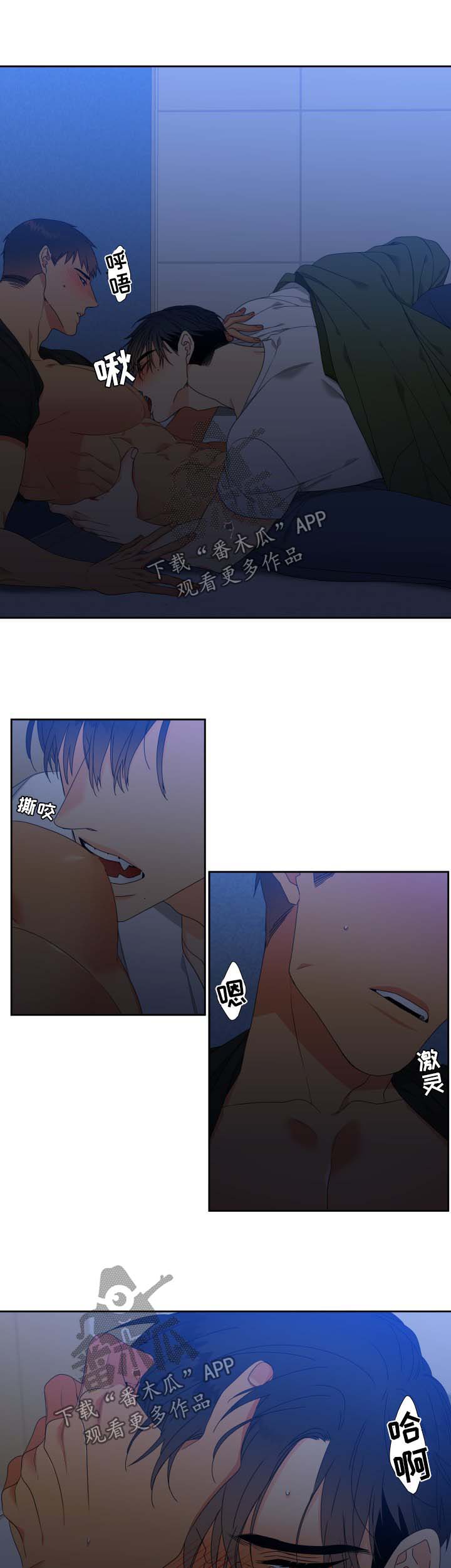 11.jpg