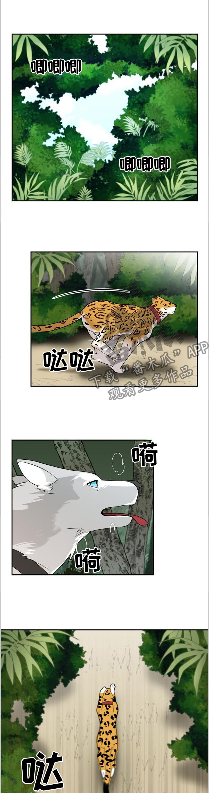 3.jpg