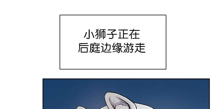 37.jpg