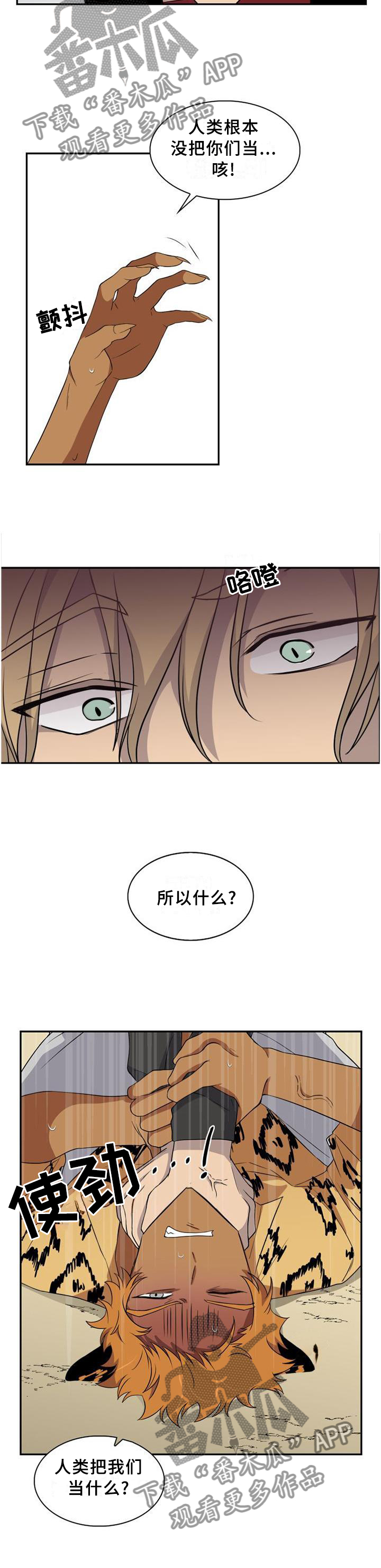 /template/pc/baozi/image/load.gif