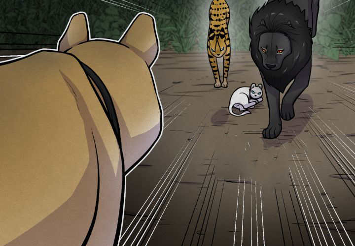 33
