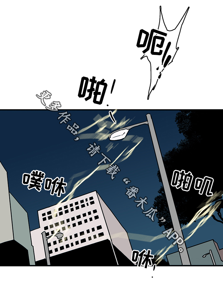 21.jpg