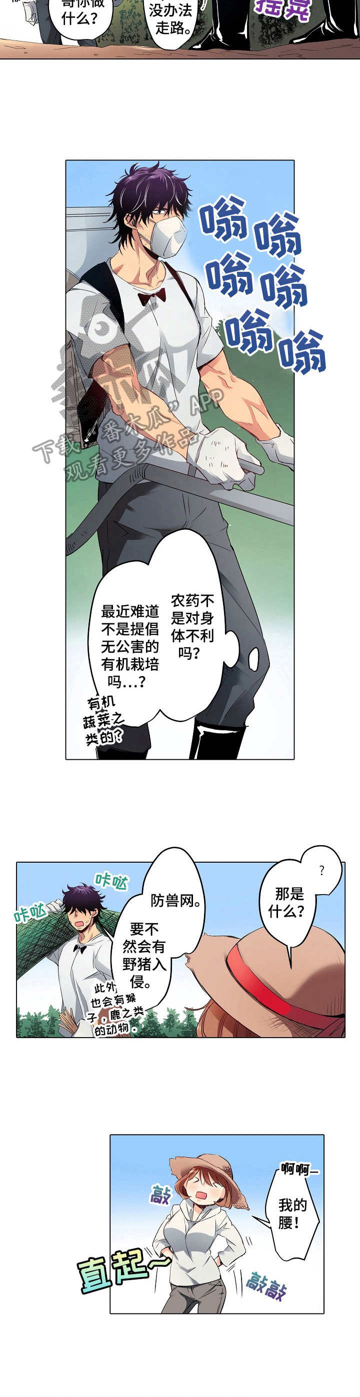 4.jpg