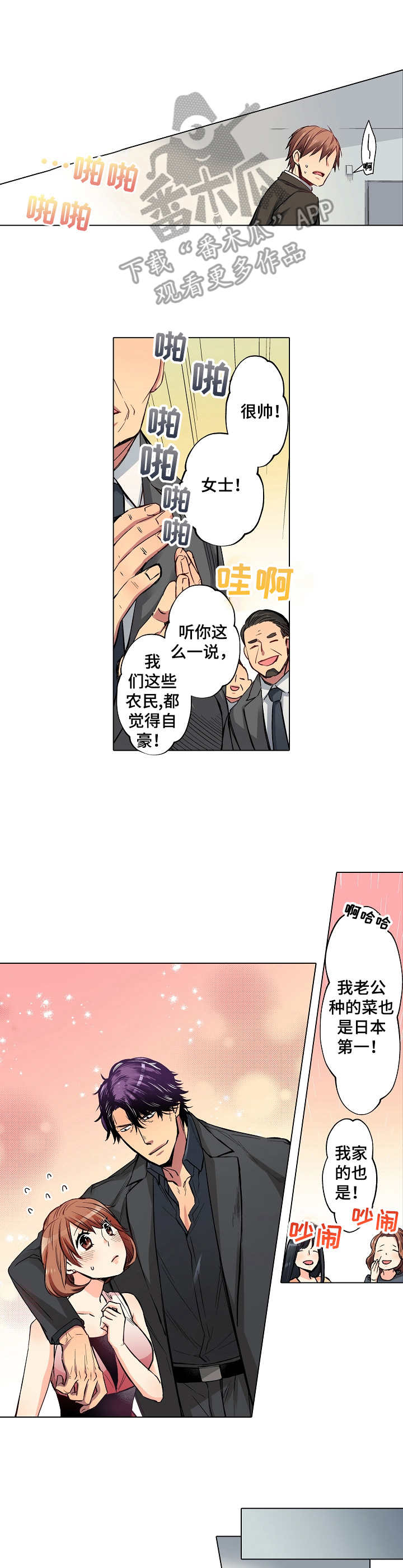 5.jpg