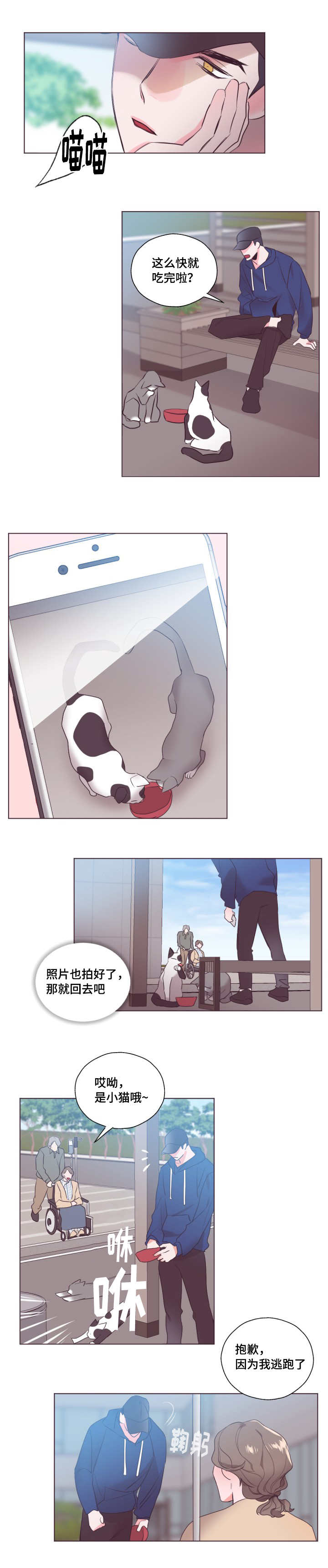 11.jpg