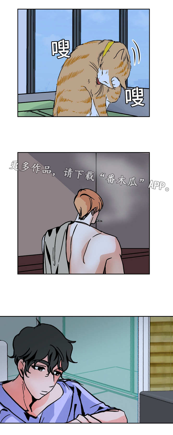 15.jpg