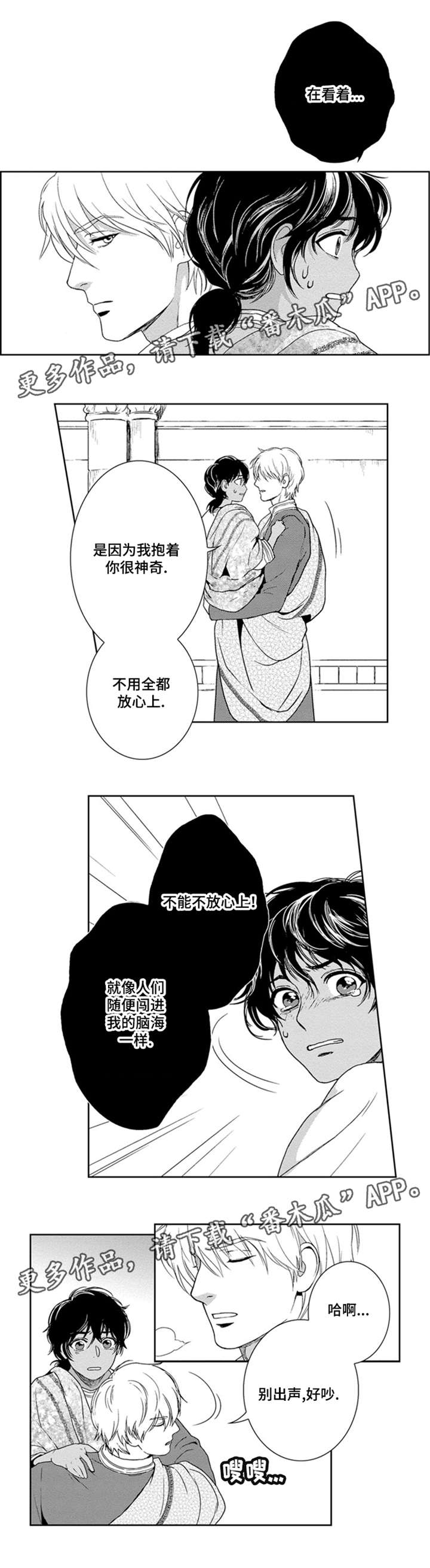 5.jpg