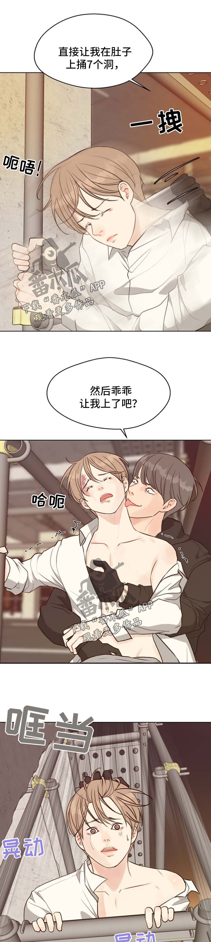11.jpg