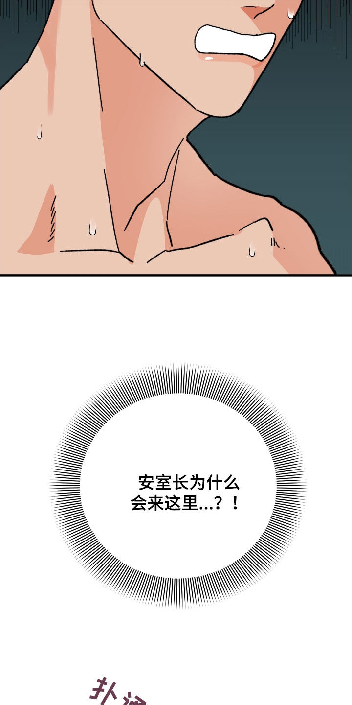 33.jpg