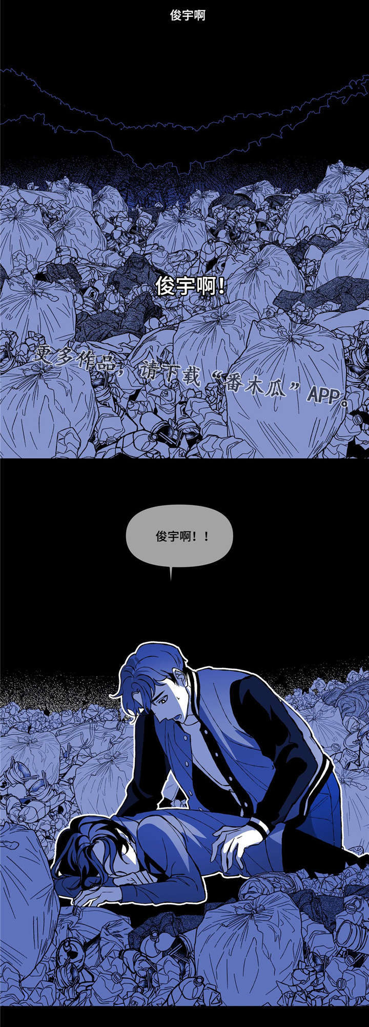 29.jpg