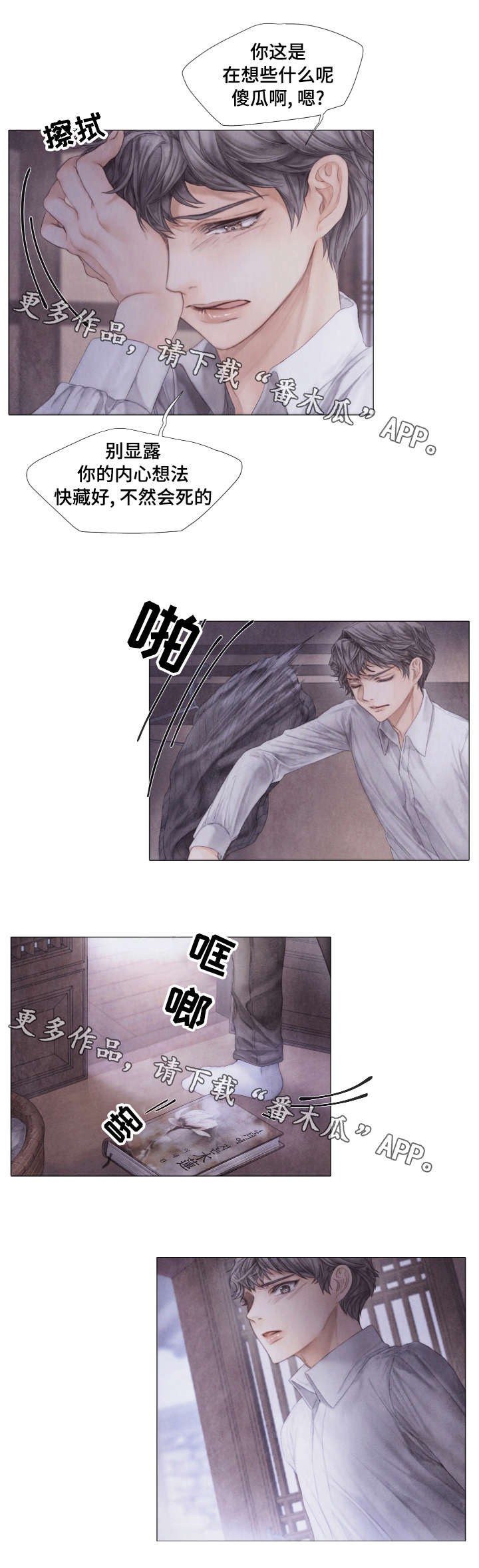 6.jpg
