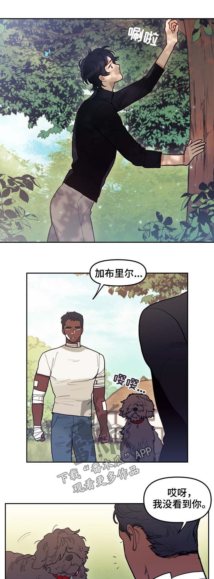 /template/pc/baozi/image/load.gif