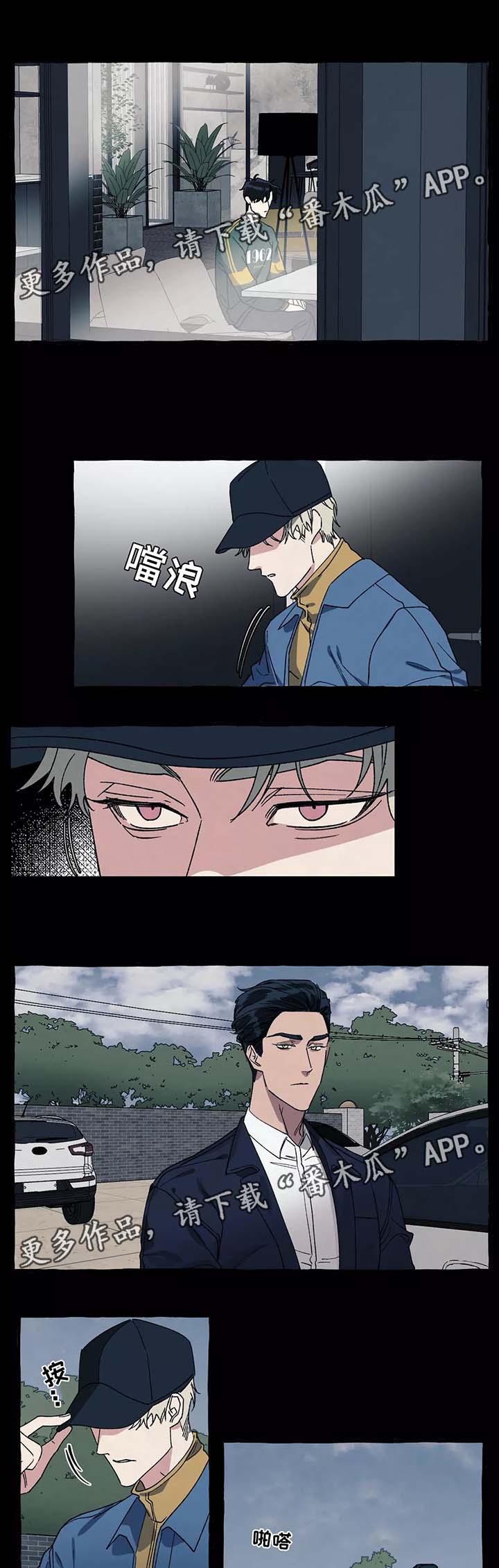 8.jpg