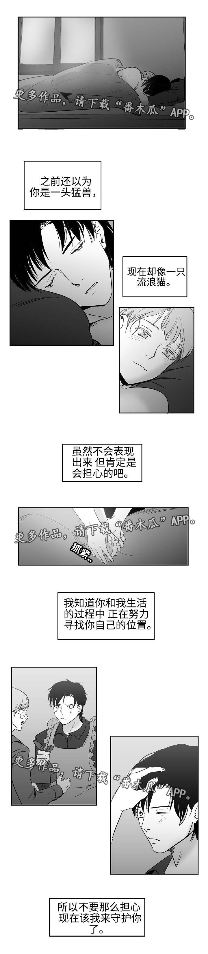 5.jpg