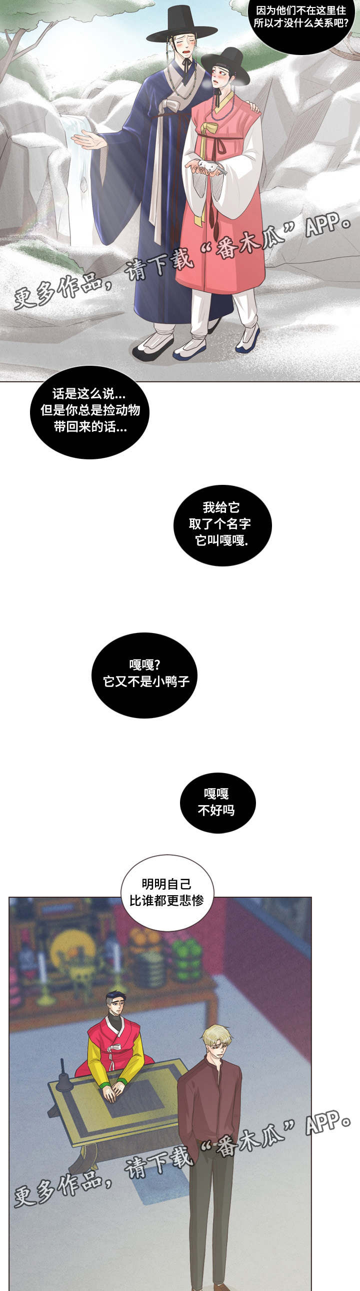 11.jpg