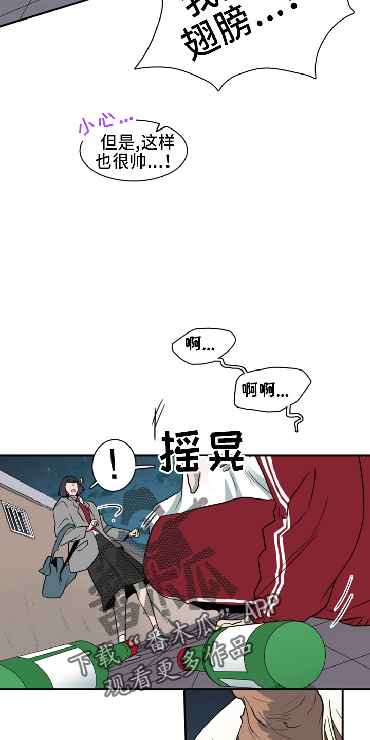 24.jpg