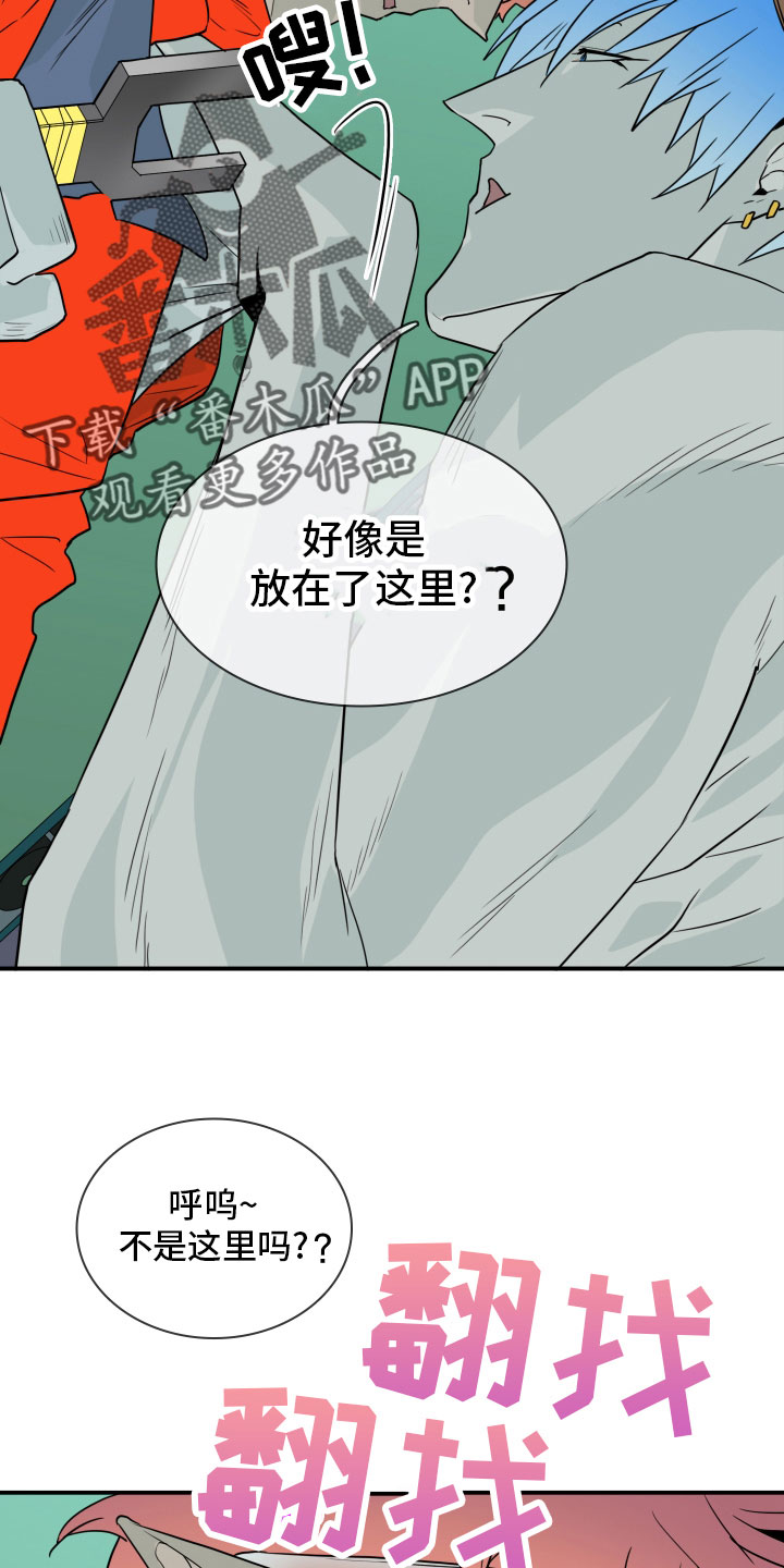 18.jpg