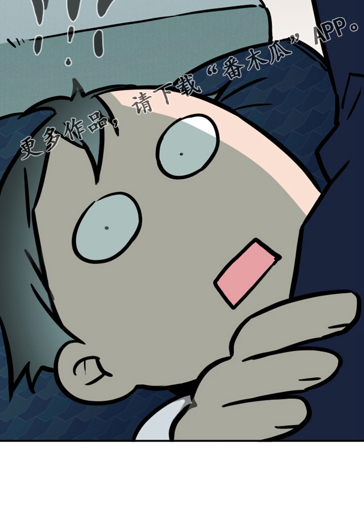 31.jpg