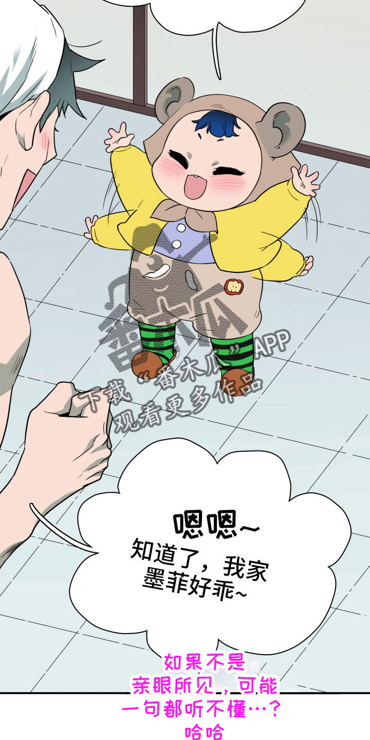 25.jpg