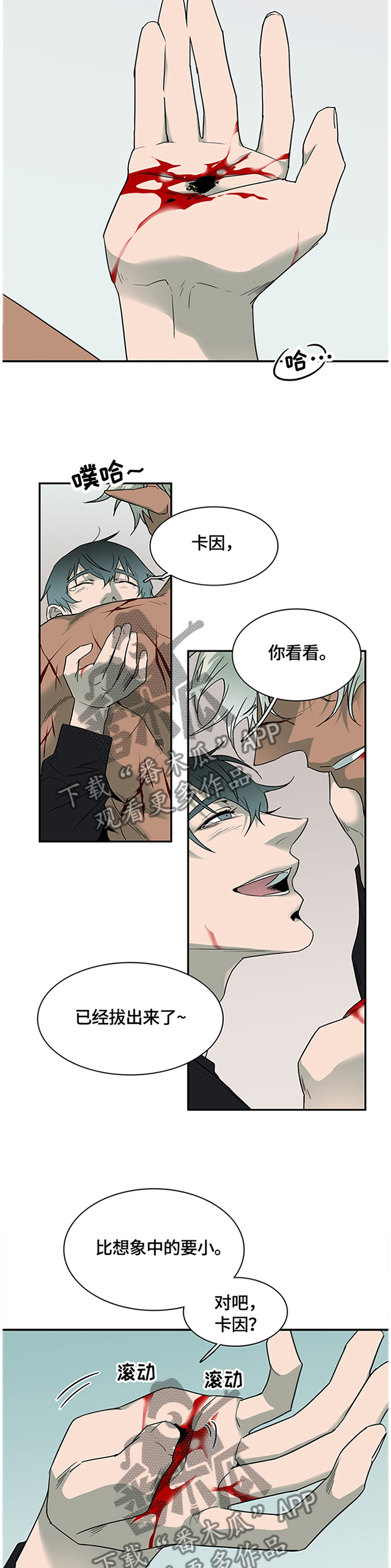 17