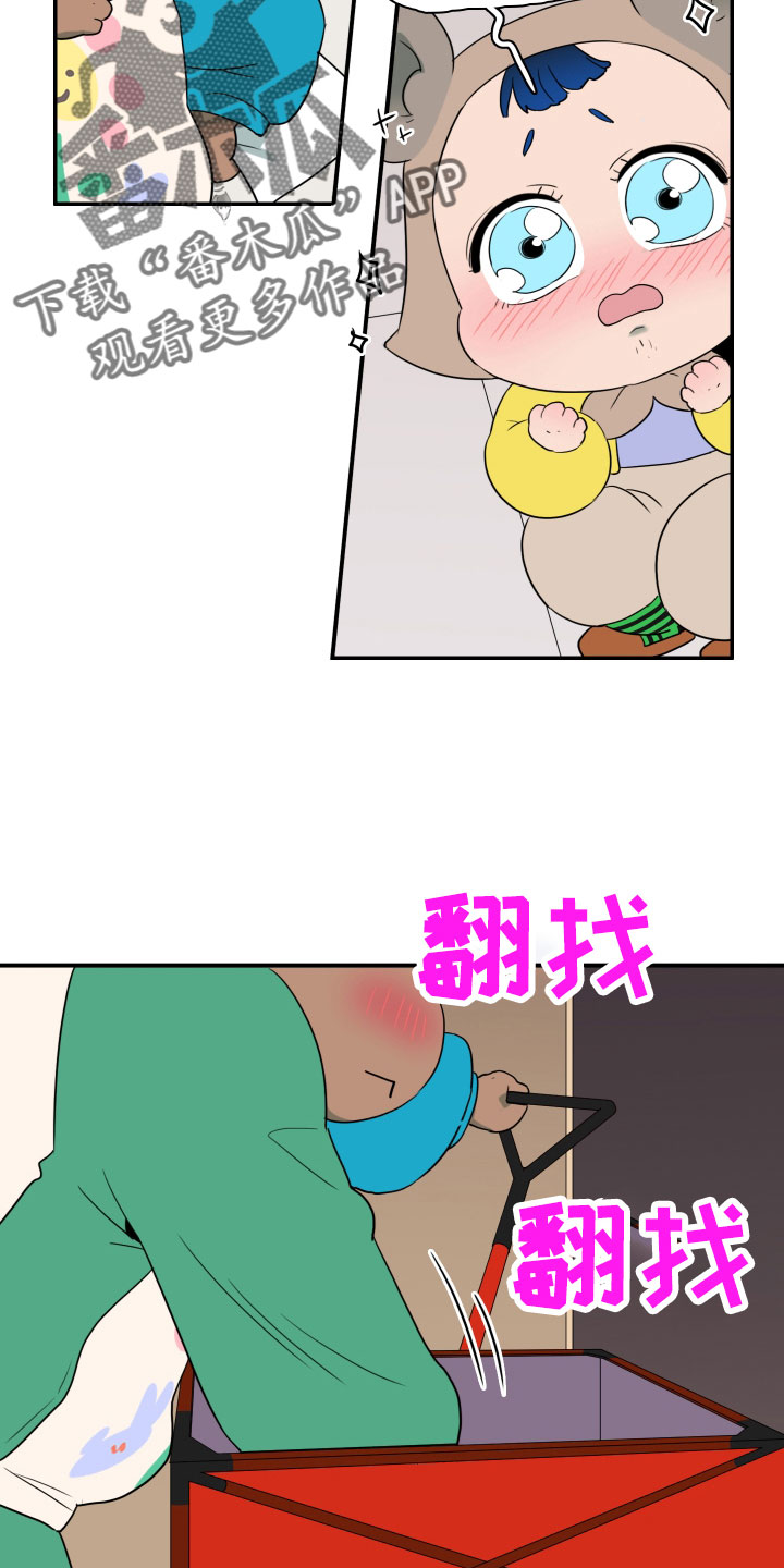 15.jpg