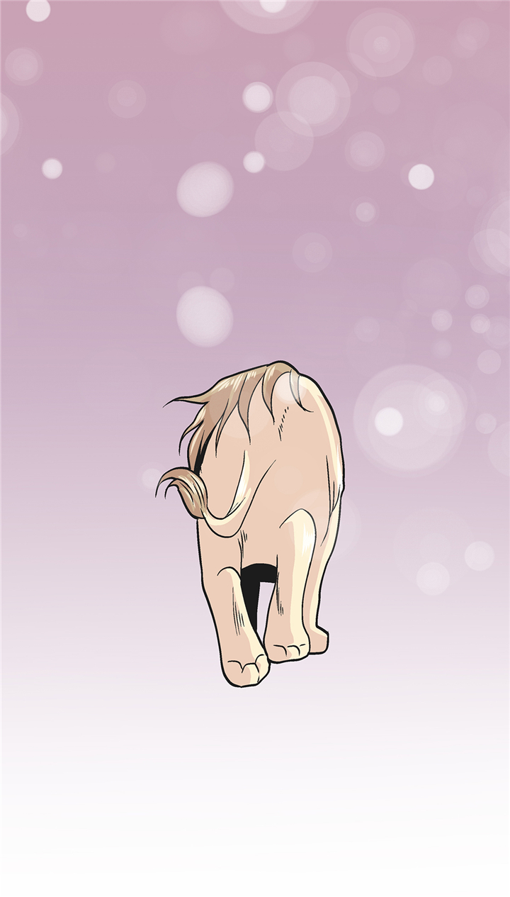 46