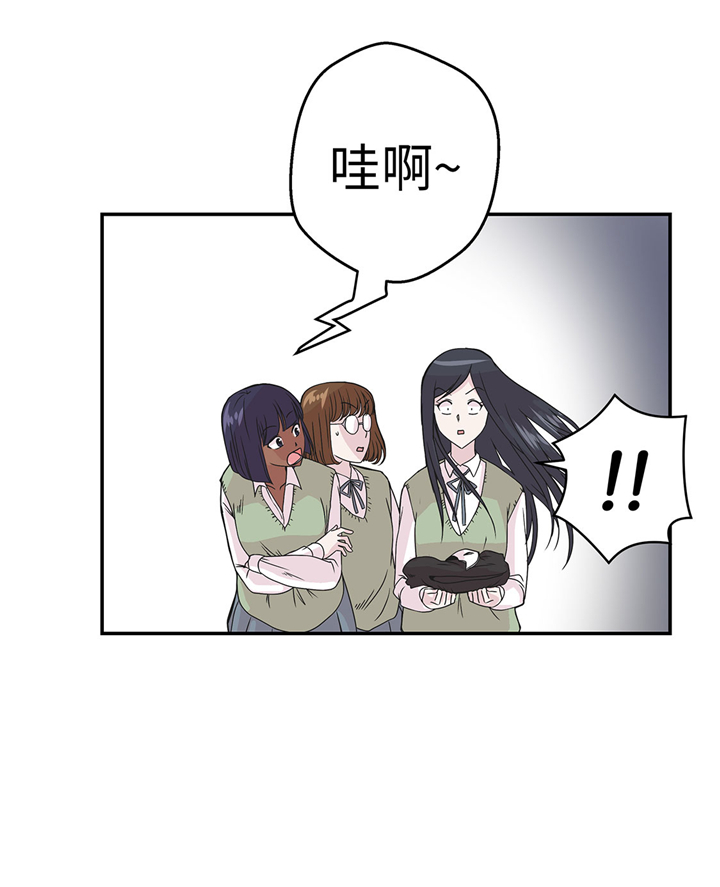 27