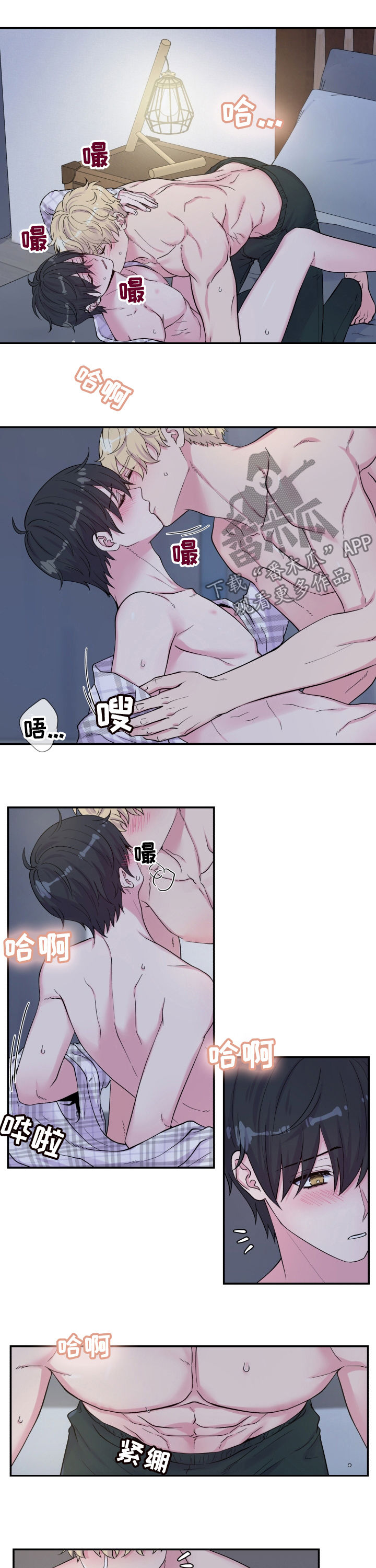 2.jpg