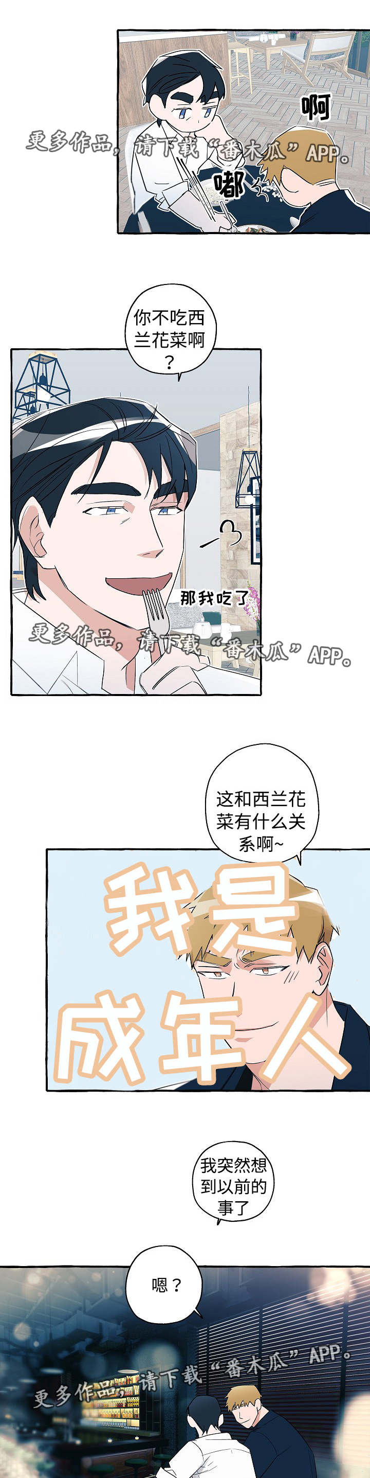 5.jpg