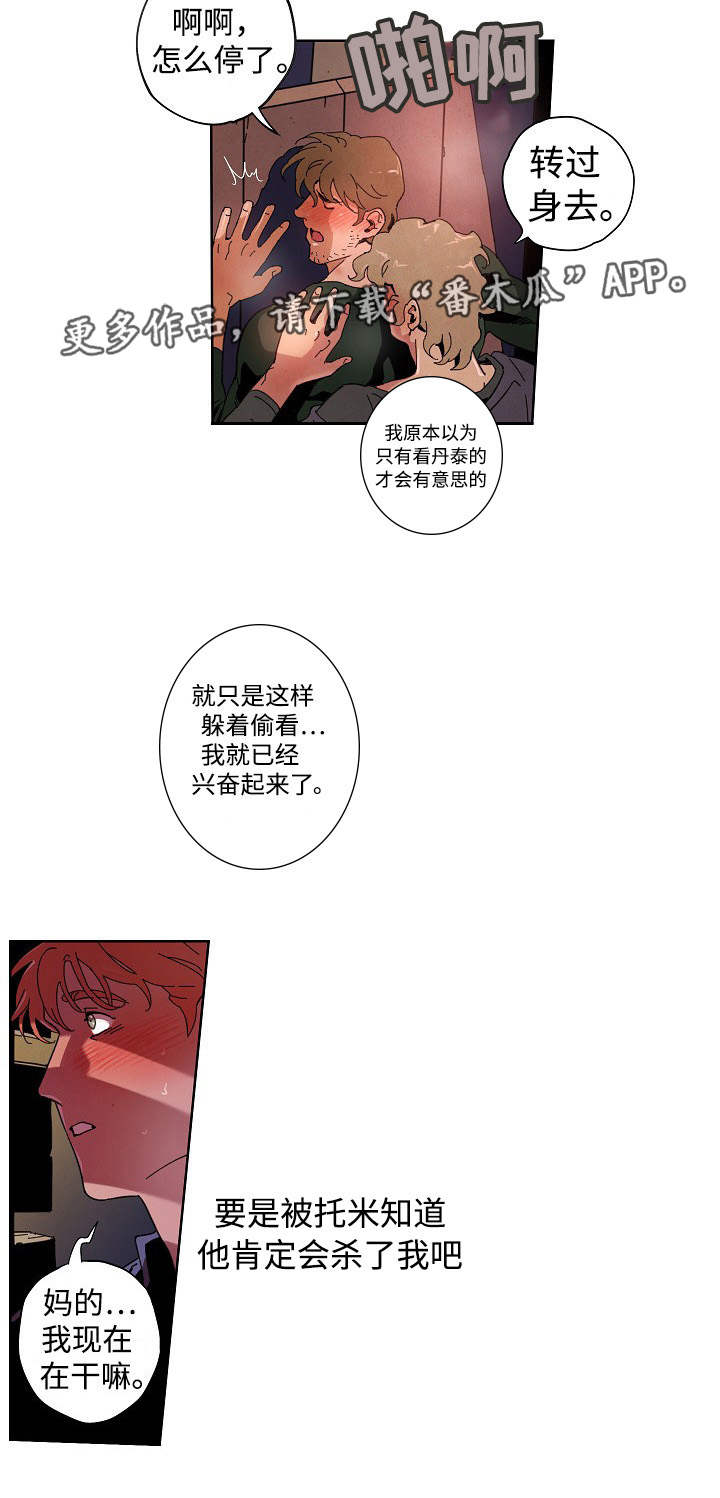 4.jpg