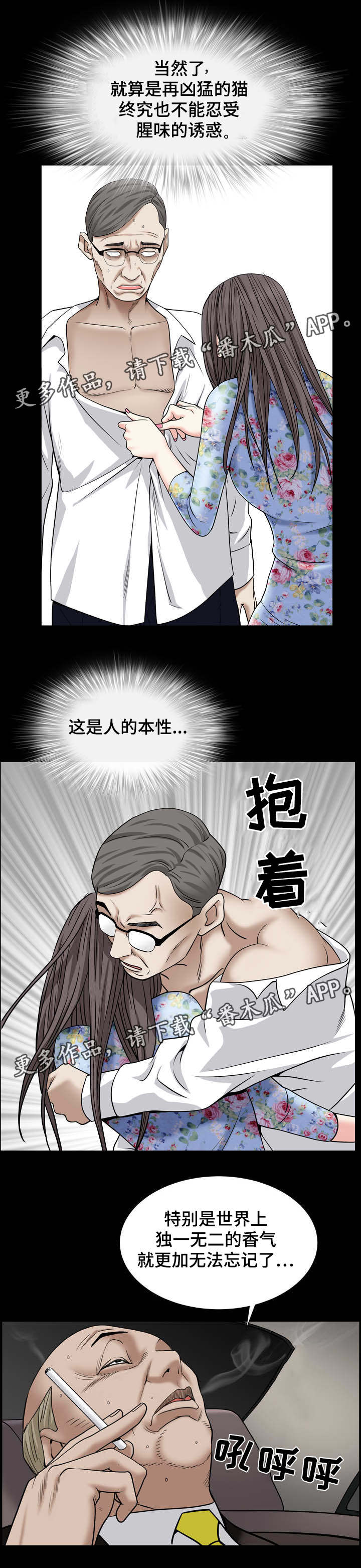 5.jpg
