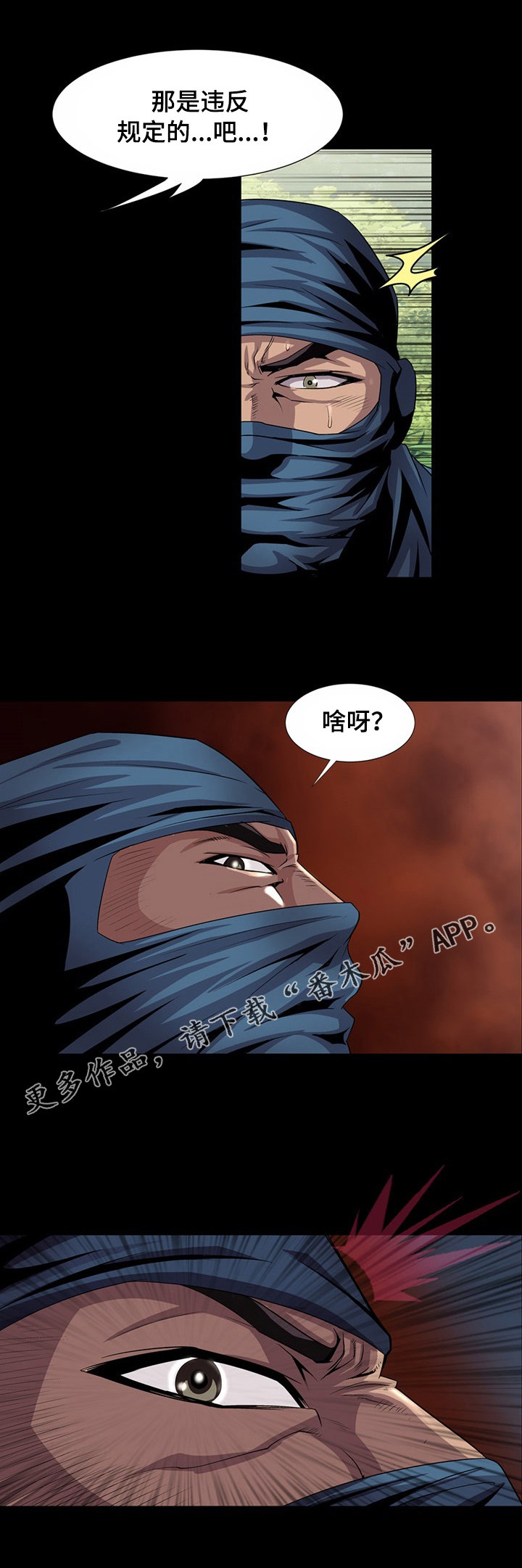 11.jpg