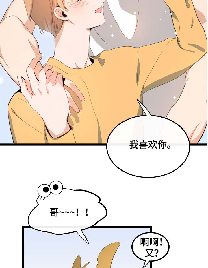 19.jpg