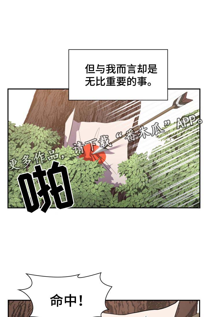 25.jpg